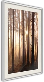 Αφίσα - Morning in the Forest - 40x60 - Χρυσό - Με πασπαρτού