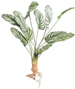 Τεχνητή Χωνευτή Καλαθέα Orbifolia 61 εκ. 7431-7 Supergreens-7431-7-Πράσινο 7431-7