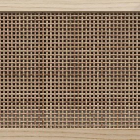 vidaXL Έπιπλο Τηλεόρασης Καφέ 105x30x40 εκ Μασίφ Πεύκο &amp; Φυσικό Ρατάν