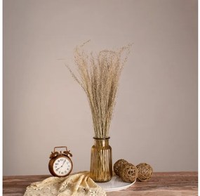 SILVERHAIRGRASS 36545 Αποξηραμένο Φυτό Ασημένια Χλόη - Μπουκέτο Διακοσμητικών Κλαδιών Μπεζ Υ60cm Globostar-36545-Καφέ 36545