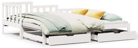 vidaXL Καναπές Κρεβάτι Συρόμενος Χωρίς Στρώμα 80x200 εκ. &amp; Συρτάρια