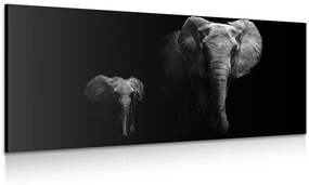Εικόνα ενός μικρού ελέφαντα και ενός ελέφαντα - 120x60
