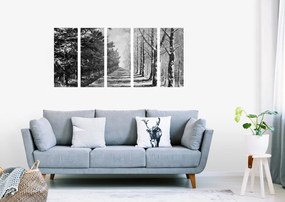 Εικόνα 5 τμημάτων φθινοπωρινό δρομάκι με δέντρα σε μαύρο & άσπρο - 100x50