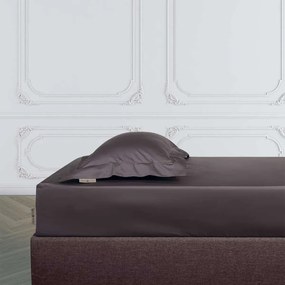 Σεντόνι Υπέρδιπλο Επίπεδο (240x270) Greenwich Polo Club Cozy Καφέ