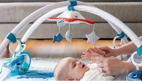 Βρεφικό Γυμναστήριο Tiny Love Treasure The Ocean BR76716