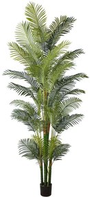 Τεχνητό Δέντρο Αρέκα Hawaii 8080-6 110x300cm Green Supergreens Πολυαιθυλένιο