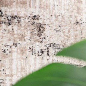 Χαλί (200x290) Royal Carpet Madisson 69B