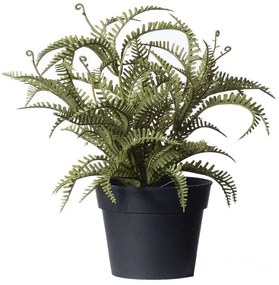 Τεχνητό Φυτό Φτέρη Boston 4160-6 24x24x23cm Green Supergreens Polyethylene