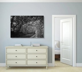 Εικόνα ασπρόμαυρο δάσος - 90x60