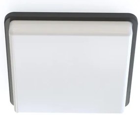 Κρεμαστό Φωτιστικό Οροφής 1xE27 Φ32cm Cono TK Lighting-10038-Καφέ 10038