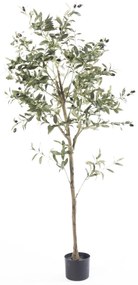 Supergreens Τεχνητό Δέντρο Ελιά "Mediterra" Πράσινο 180 εκ.