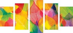 Φύλλα 5 μερών σε φθινοπωρινά χρώματα - 200x100