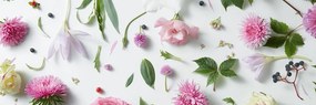 Εικόνα μαγική νεκρή φύση λουλουδιών - 120x40