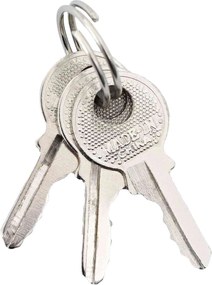 vidaXL Κλειδαριά U με Κλειδιά 2 pcs Ορείχαλκος Σίδερο