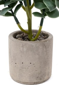 Stewehome Τεχνητός κάκτος σουκλέντ σε γκρι γλάστρα