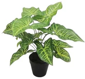 MarHome ΦΥΤΟ ΚΑΛΑΔΙΟ REAL TOUCH ΣΕ ΓΛΑΣΤΡΑ - Y30cm 6/36KIB  04-20047(18769)
