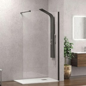 Πάνελ Ντουζιέρας Σταθερό Walkin 1 WAL1N80 Clear-Black Karag 80 x200 Αλουμίνιο