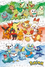 Αφίσα Pokemon - First Partners