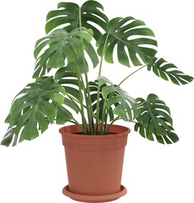 vidaXL Γλάστρες φυτών 24 pcs Κεραμιδί Ø 17 x 14 εκ Πλαστικό