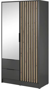 Nτουλάπα Δίφυλλη Nelly 24_2Dm_grf Με Καθρέπτη 105x51x200cm Graphite Δίφυλλη