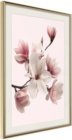 Αφίσα - Blooming Magnolias I - 20x30 - Χρυσό - Με πασπαρτού