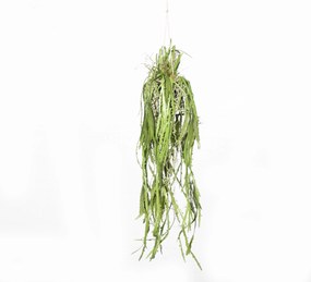 Supergreens Τεχνητή Κρεμαστή Ρίζα Επίφυλλο Dama Noce Πράσινη 106 εκ. - 0371-7