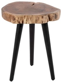 Τραπέζι Σαλονιού Βοηθητικό HM8364.11 Φ40x49,5cm Από Μασίφ Ξύλο Ακακίας Natural-Black Μέταλλο,Ξύλο