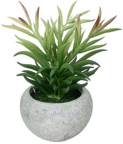 Τεχνητό Φυτό Σε Κασπώ Crassula 21038 Φ10x17cm Grey-Green GloboStar Πηλός,Πολυαιθυλένιο