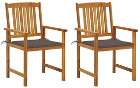 vidaXL Καρέκλες Κήπου 2 τεμ. από Μασίφ Ξύλο Ακακίας με Μαξιλάρια