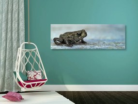 Εικόνα βάτραχος - 120x40
