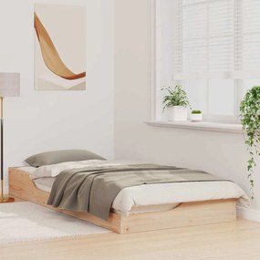 vidaXL Κρεβάτι δαπέδου Καφέ 100 x 200 cm Μασίφ ξύλο πεύκου