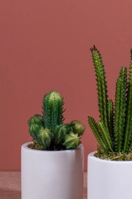 Stewehome Σετ κάκτων σε τσιμεντένια γλάστρα με τεχνητά φύλλα και ανθοφόρα δέντρα Λευκό