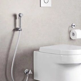 Τηλέφωνο ντουζ Grohe Tempesta F II πλήρες