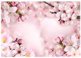Φωτογραφική ταπετσαρία ανοιξιάτικο άνθος κερασιάς - 150x105
