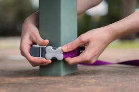 Λουρί Σκύλου Red Dingo Φούξια