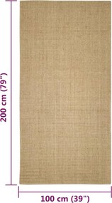 vidaXL Χαλί Σιζάλ για Ονυχοδρόμιο 100x200 εκ.