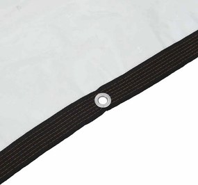vidaXL Σαφής μουσαμάς με οπές 3x10 m πολυαιθυλένιο