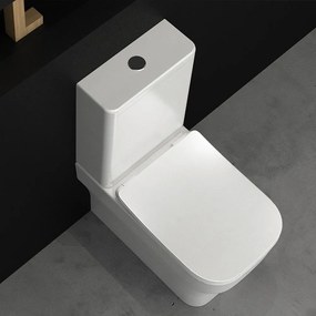 Olympia Synthesis Rimless BTW - Λεκάνη Με Καζανάκι