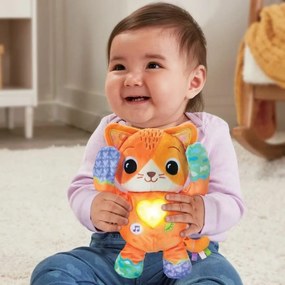 Εκπαιδευτικό Παιχνίδι Vtech Baby Fripon cache-cahe chaton (FR)