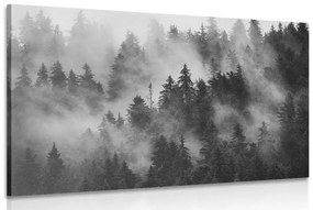 Εικόνα βουνών στην ομίχλη σε μαύρο & άσπρο - 60x40