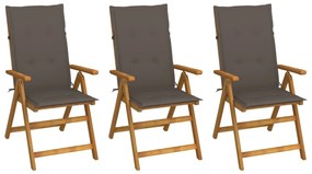 Καρέκλες Κήπου Πτυσσόμενες 3 τεμ. από Ξύλο Ακακίας με Μαξιλάρια - Μπεζ-Γκρι