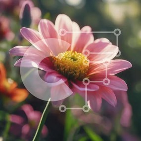 Intra Συλλεκτικό Ξύλινο Παζλ Plywood 4mm - Ζωντανό ανθισμένο ροζ λουλούδι σε καταπράσινο τοπίο Σε Ξύλινο Κουτί - Διαστάσεις: 10x10 cm – 25 κομμάτια