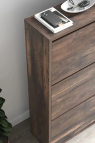 Stewehome Ντουλάπι Παπουτσιών 3 Θέσεων Καφέ 73.6x24x110 cm