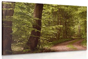 Εικόνα πράσινο δάσος - 90x60