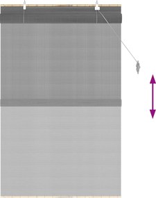 vidaXL Ρόλερ (στόρι) Γκρι 100 x 160 cm Μπαμπού