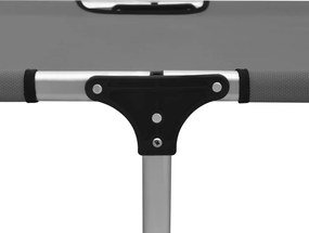 vidaXL Ξαπλώστρα Ψηλή Πτυσσόμενη για Ηλικιωμένους Γκρι Αλουμινίου