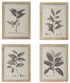 Artekko Botanical Πίνακας με Κορνίζα Ξύλο Εκρού (39.9x1.8x53.1)cm Σετ/4 Artekko SA80196-DS