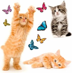 Αυτοκόλλητα Παραθύρου Διπλής Όψης Ango Cats 64001