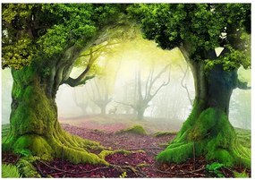 Αυτοκόλλητη φωτοταπετσαρία - Enchanted forest - 441x315