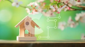Intra Συλλεκτικό Ξύλινο Παζλ Plywood  4mm - Ανοιξιάτικη σκηνή με την ανθισμένη βελανιδιά και το Birdhouse Σε Ξύλινο Κουτί - Διαστάσεις: 10x10 cm – 25 κομμάτια